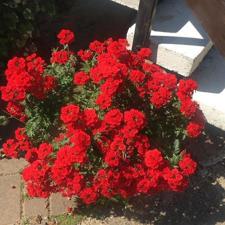 Ferienwohnung Rosi Stoppa Бург Екстериор снимка